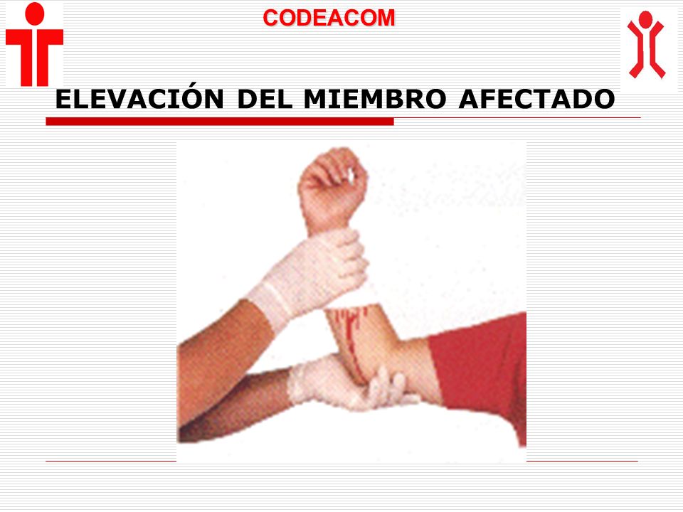 Las pequeñas muchachas que chupan el miembro